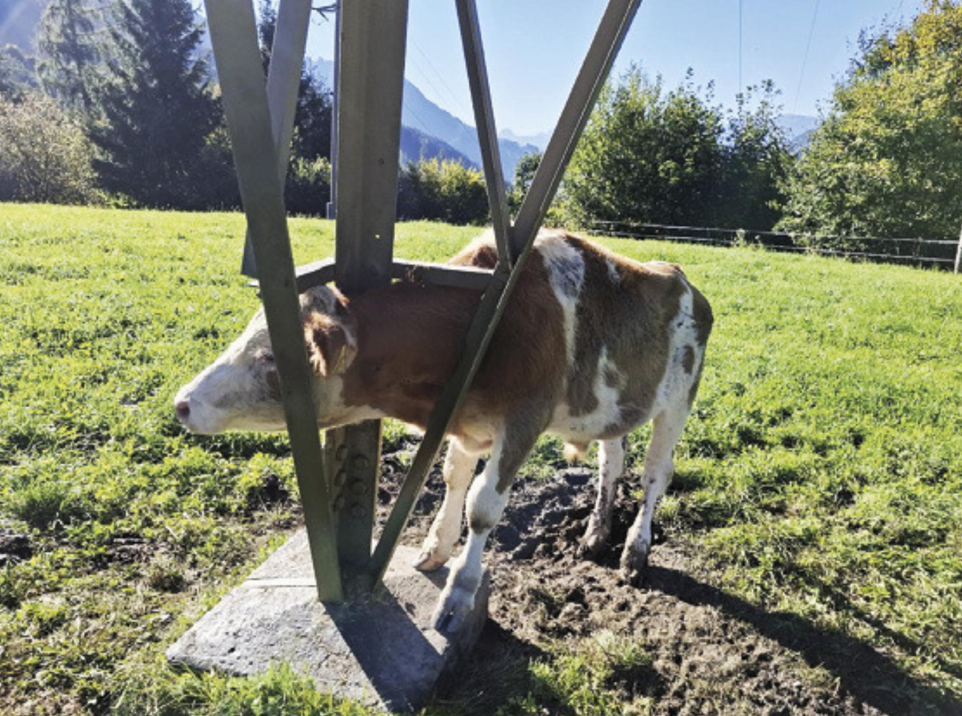 Foto: FF Rottenmann
