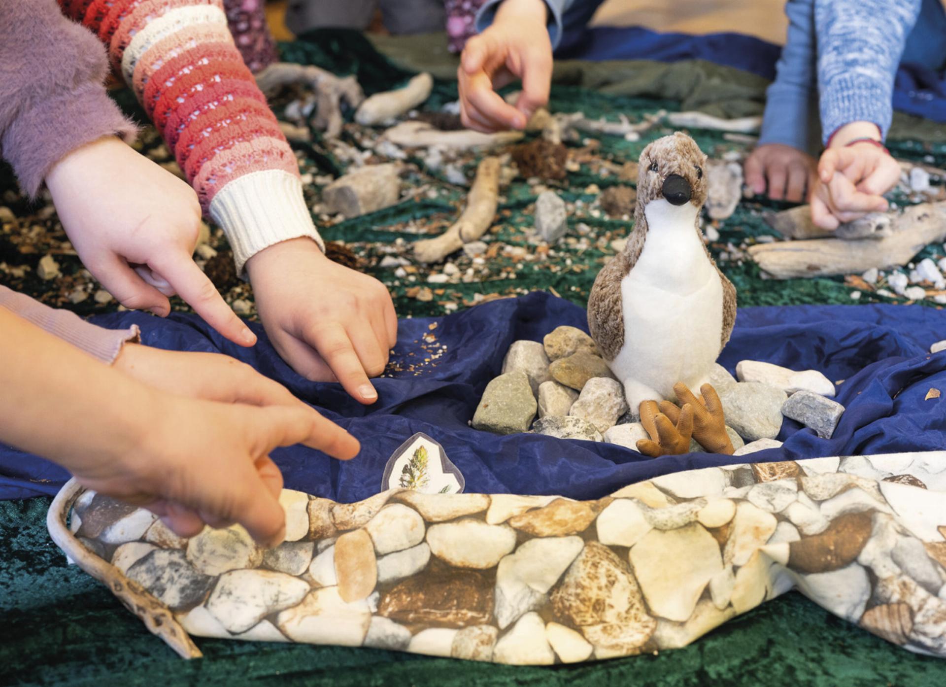 Der Nationalpark kommt in die Schulklassen der Volksschule Selzthal.

Foto: © Andreas Hollinger