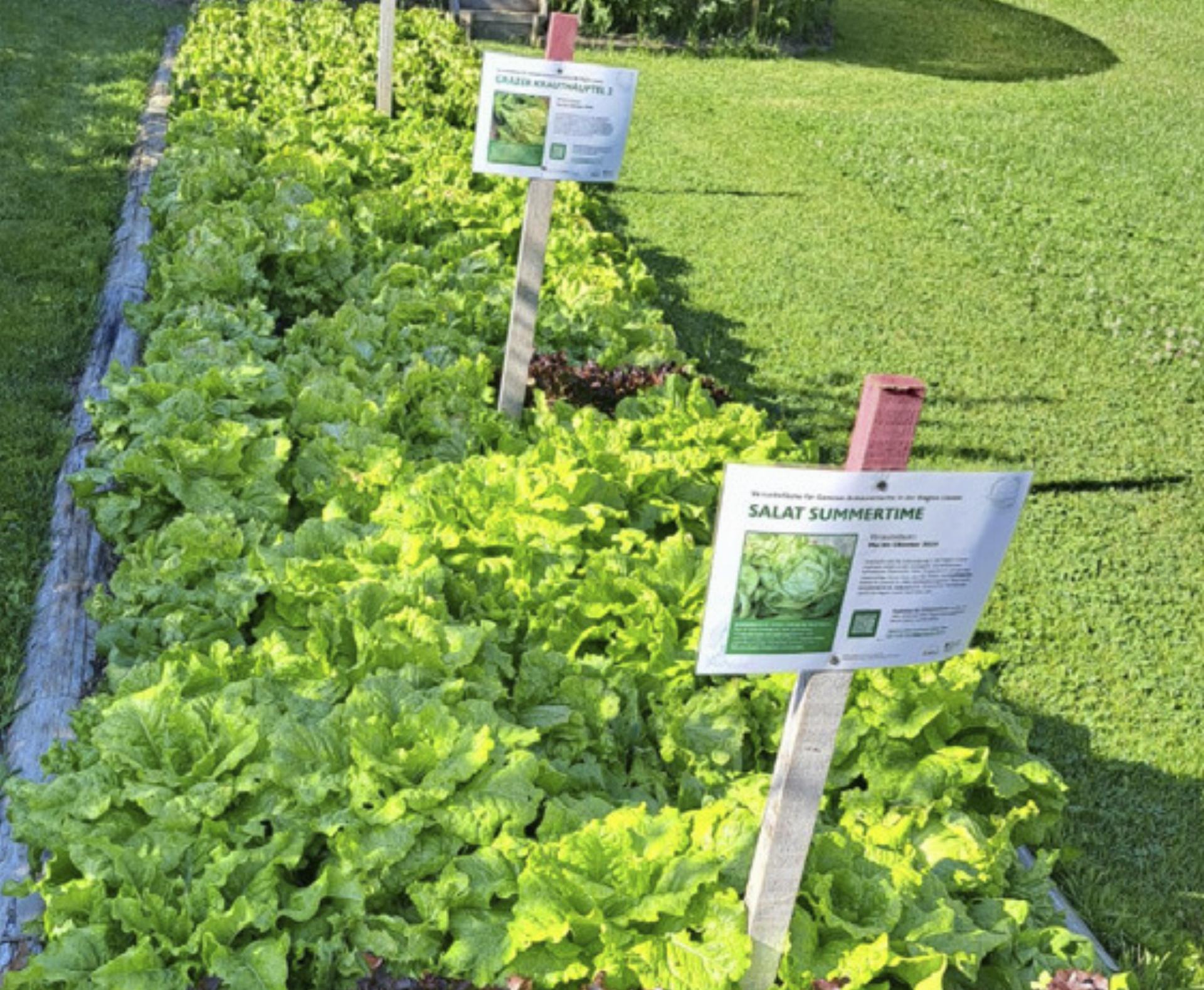  - Das Bild wird blockiert. – Möglicherweise durch einen aktiven Adblocker.