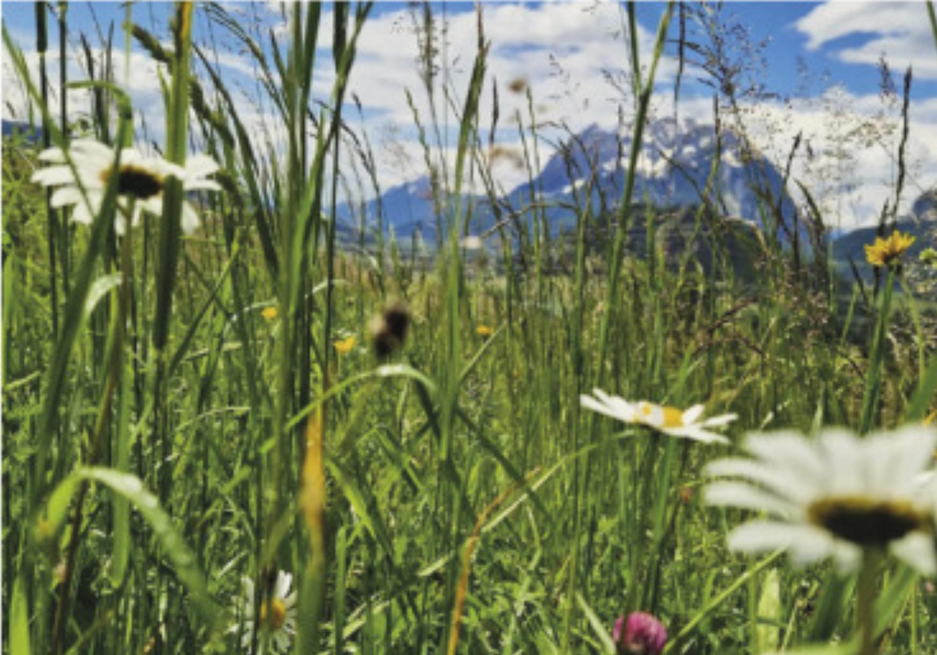 Biodiverse Landwirtschaft