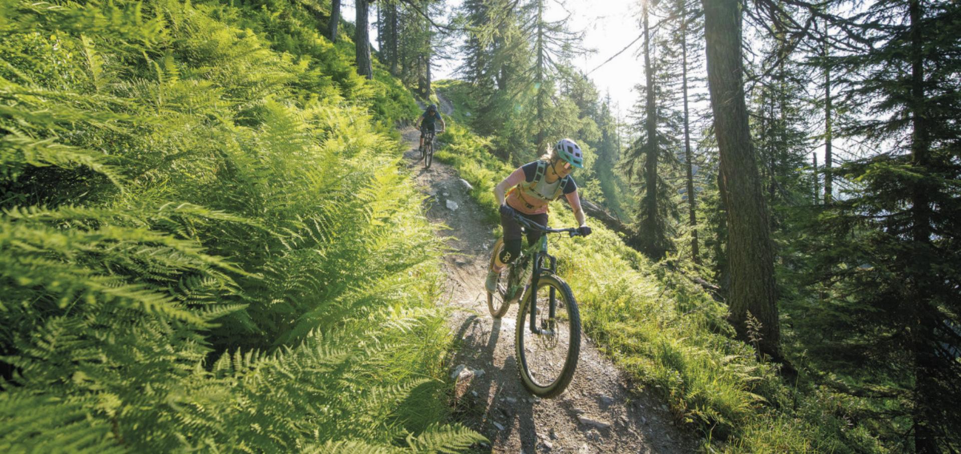 Volle Fahrt voraus: Im „Bikeland“ Schladming-Dachstein erwarten Mountain- und E-Biker bereits 26 Touren, zwei Bikeparks und ein Singletrack mit insgesamt 67 Trail-Kilometern. Hinzu kommen nun rund 60 Kilometer Sonnseitn Trails. Foto: Christoph Oberschneider