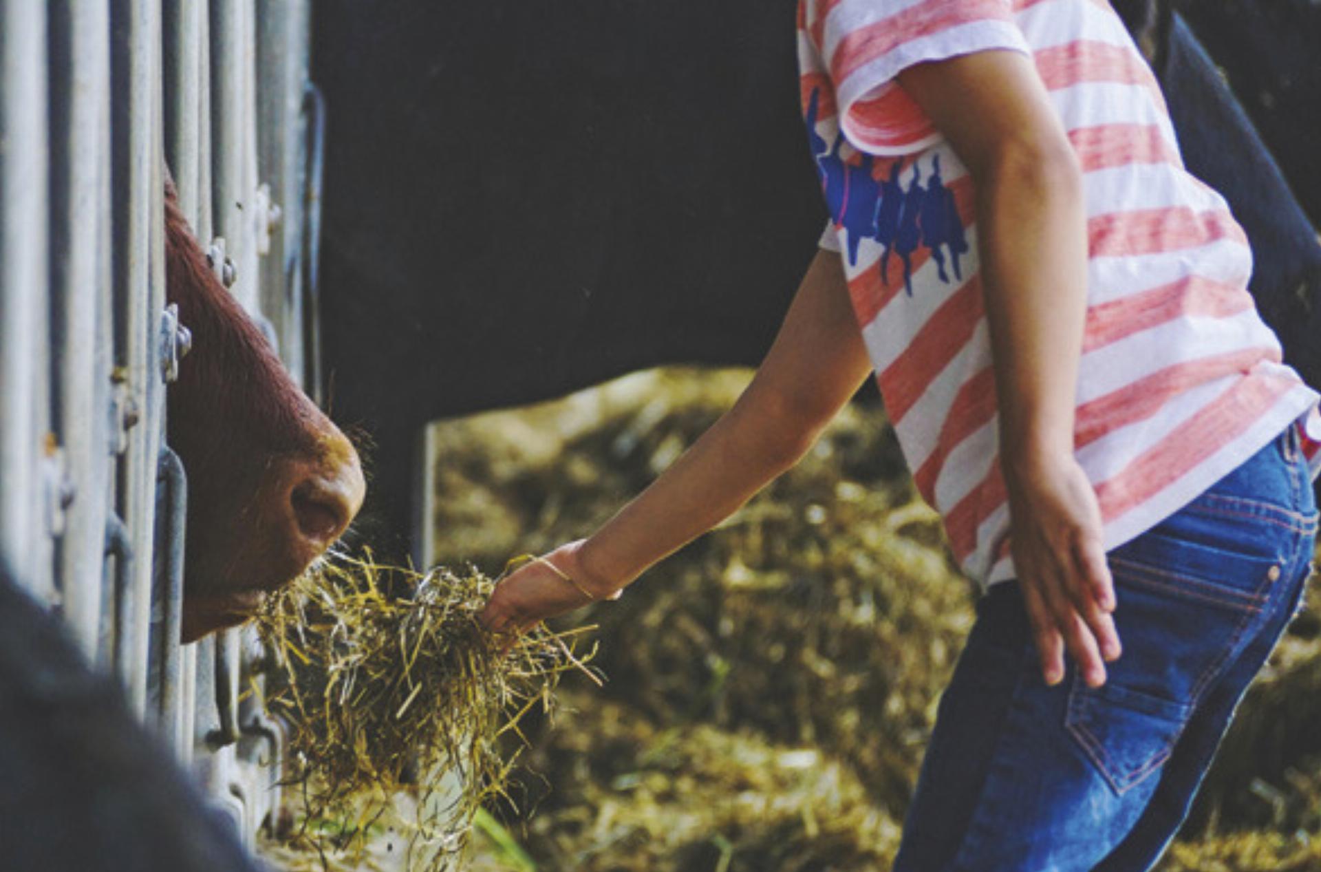 Bauernhöfe werden zu Lehr- und Lernräumen und finden so eine ganz neue Bedeutung. © Anastasia Shuraeva - Das Bild wird blockiert. – Möglicherweise durch einen aktiven Adblocker.