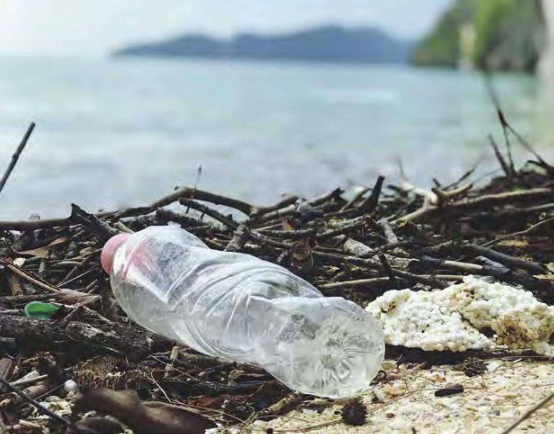 Bis zu 450 Jahre dauert es, bis sich eine Kunststoffflasche in der Natur zu Mikroplastik zersetzt hat. Vollständig auflösen wird sie sich nie. Foto: Pexels