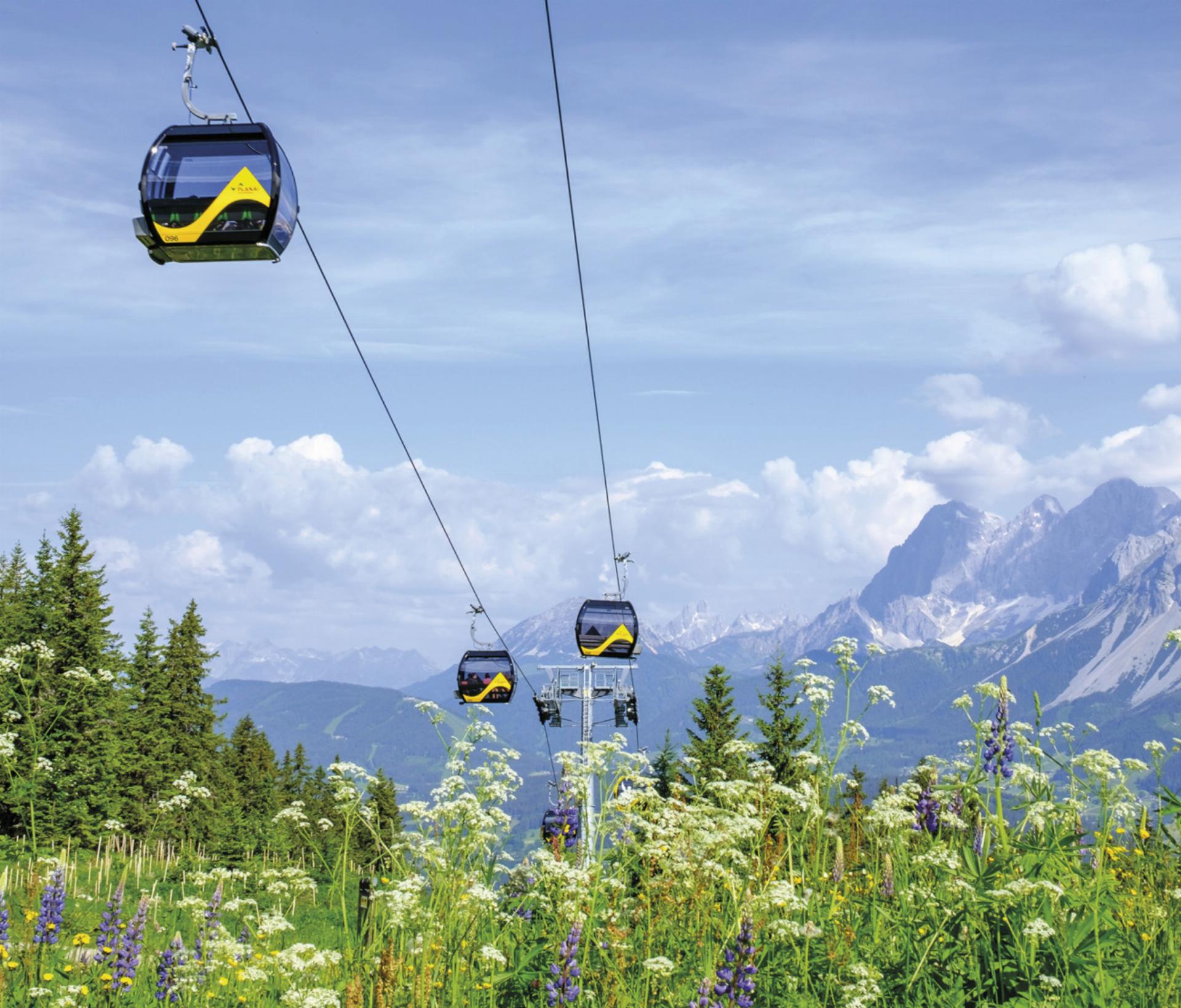 Es ist die letzte Sommersaison der Planai unter der Führung von Georg Bliem. Mit 68 Jahren zieht sich der Geschäftsführer per 1. Februar in den Ruhestand zurück. Foto: photo-austria.at