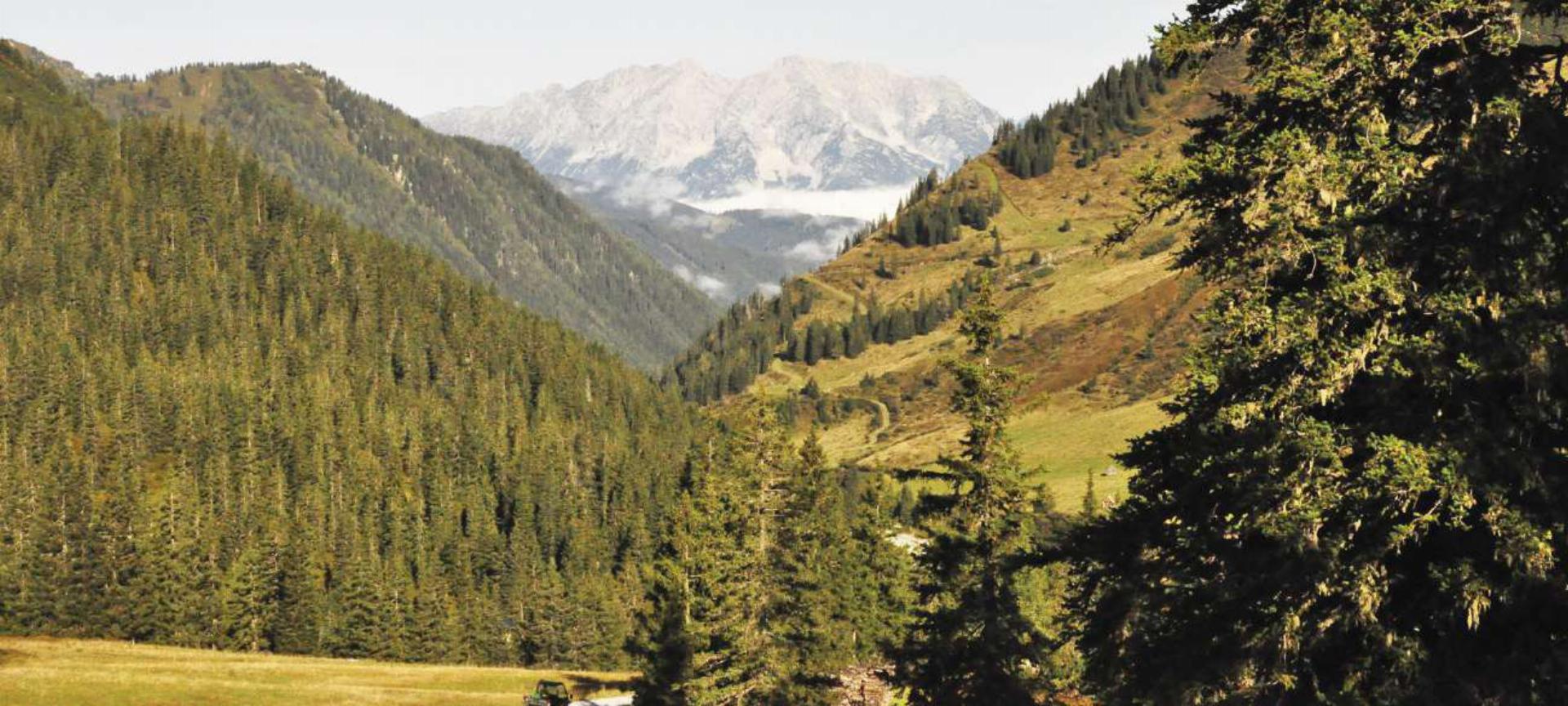 Der Naturkraftplatz Planneralm ist einer von 15 ausgewiesenen Orten in der Gesundheitsregion Grimmingland, die dazu einladen, frische Energie zu tanken. 
Foto: Bige