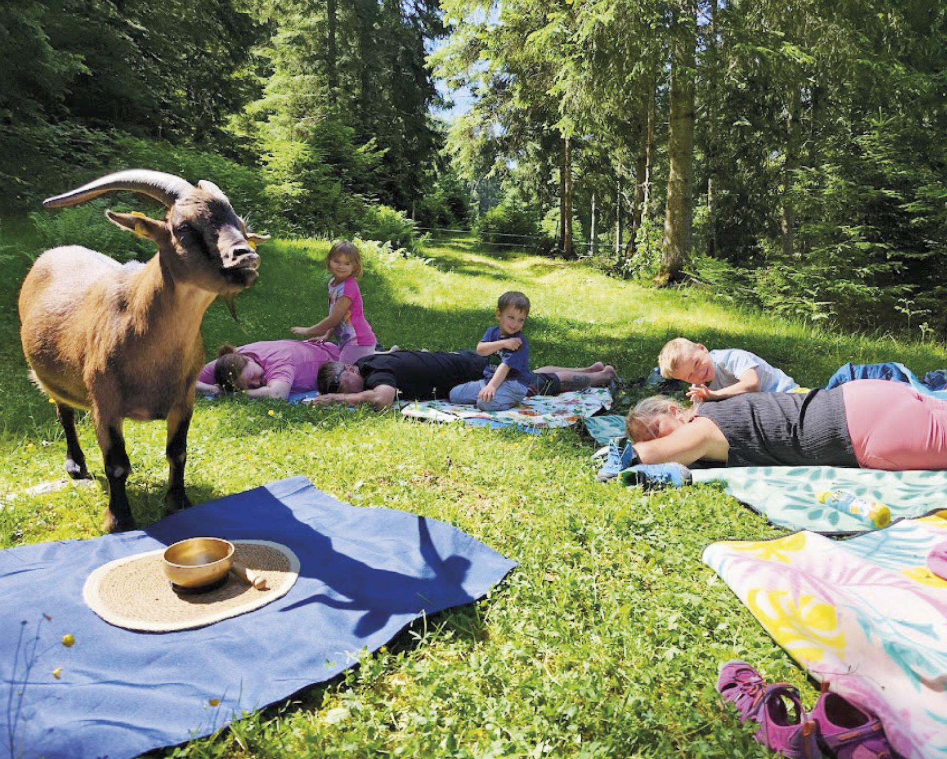 Entspannte Eltern, fröhliche Kinder: Die vierbeinigen Co-Trainer machten das Tier-Yoga zu einem unvergesslichen Erlebnis.

Foto: Sandra Glaser