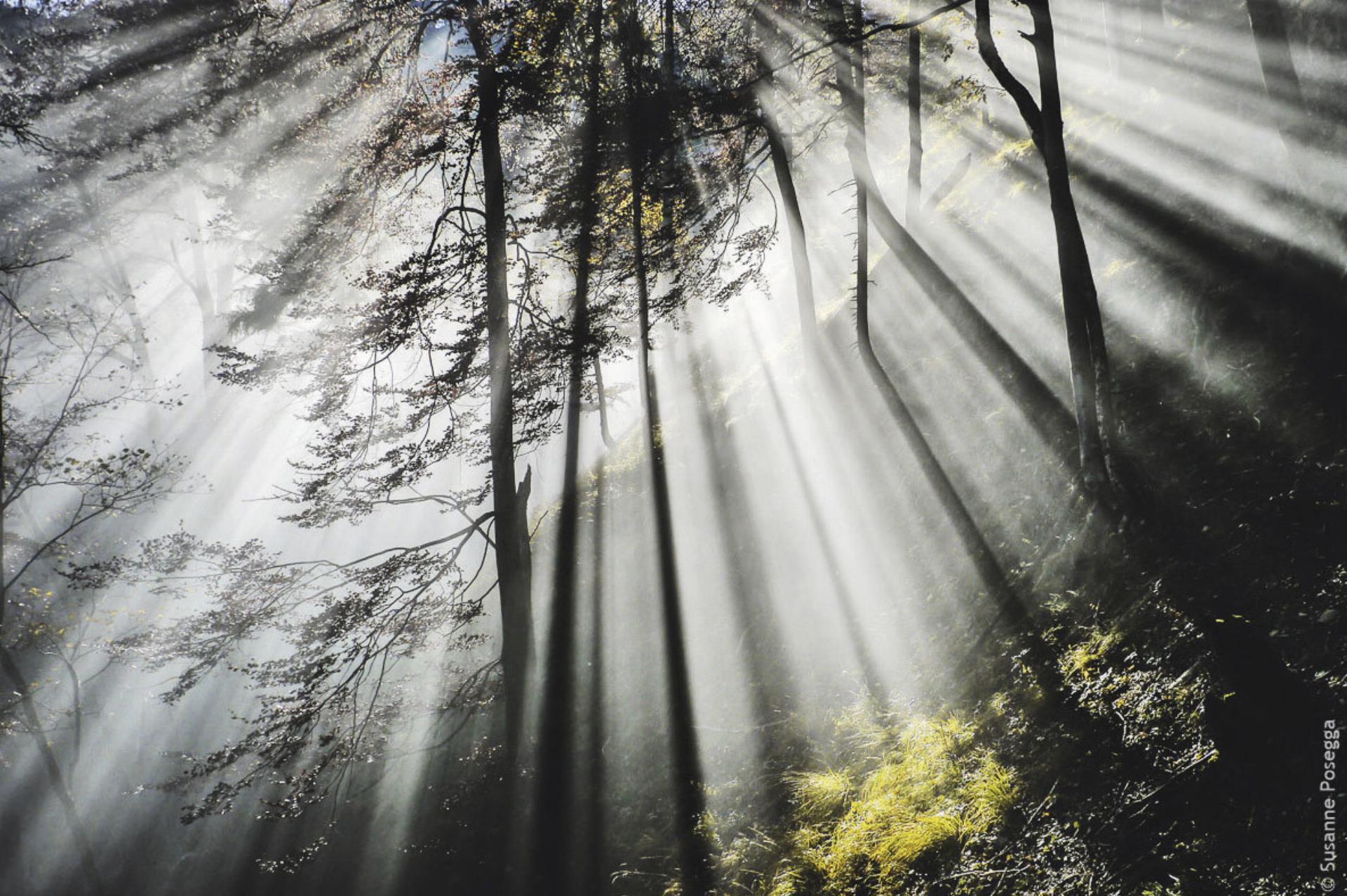 Fotografie mit Tiefenschärfe: 2026 zeigt das Gesäuse neue Perspektiven der Natur. Foto: © Susanne Posegga