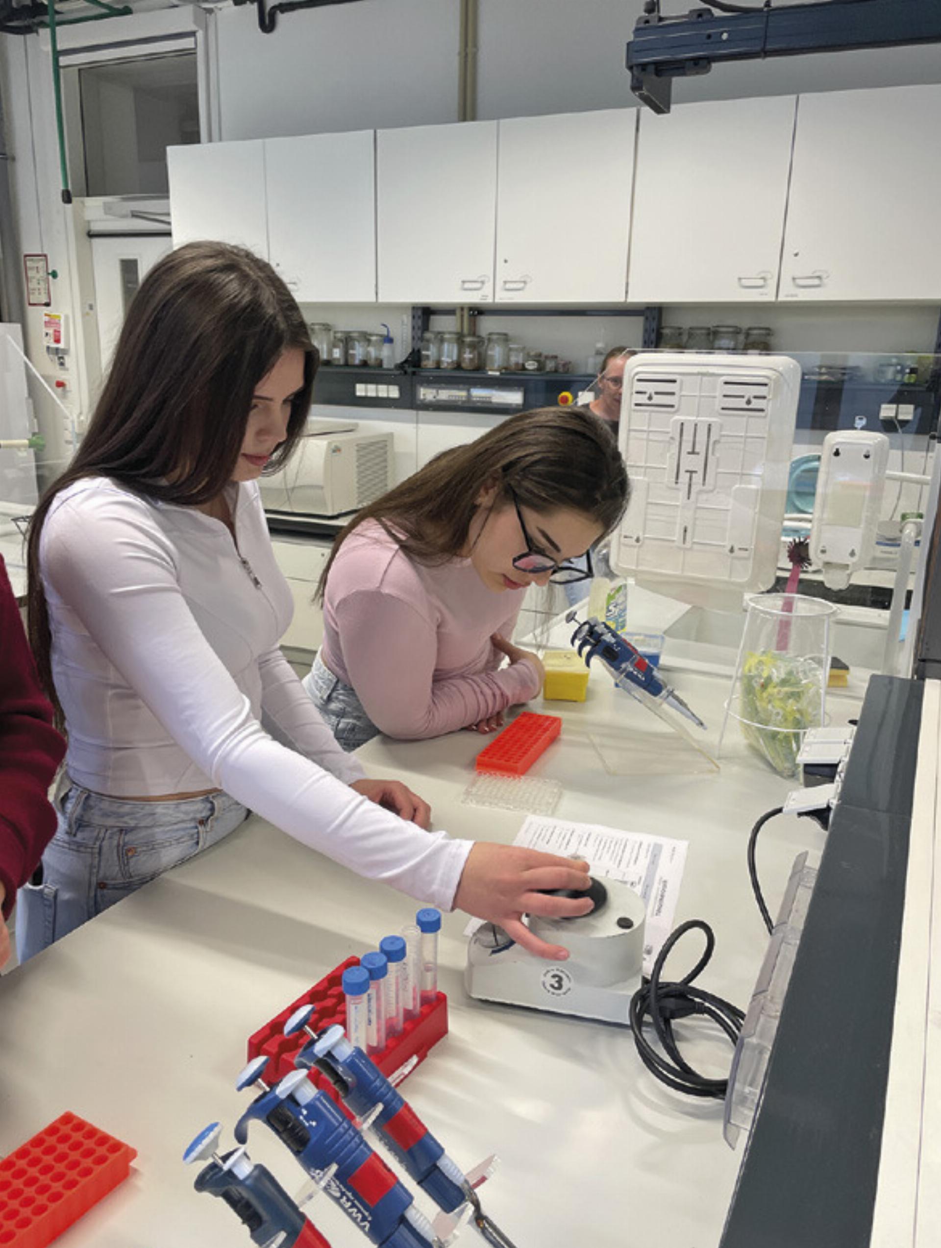 Schülerinnen und Schüler konnten exklusive Workshops absolvieren und universitäre Forschung aus nächster Nähe kennenlernen.

Foto: Christian Quehenberger - Das Bild wird blockiert. – Möglicherweise durch einen aktiven Adblocker.