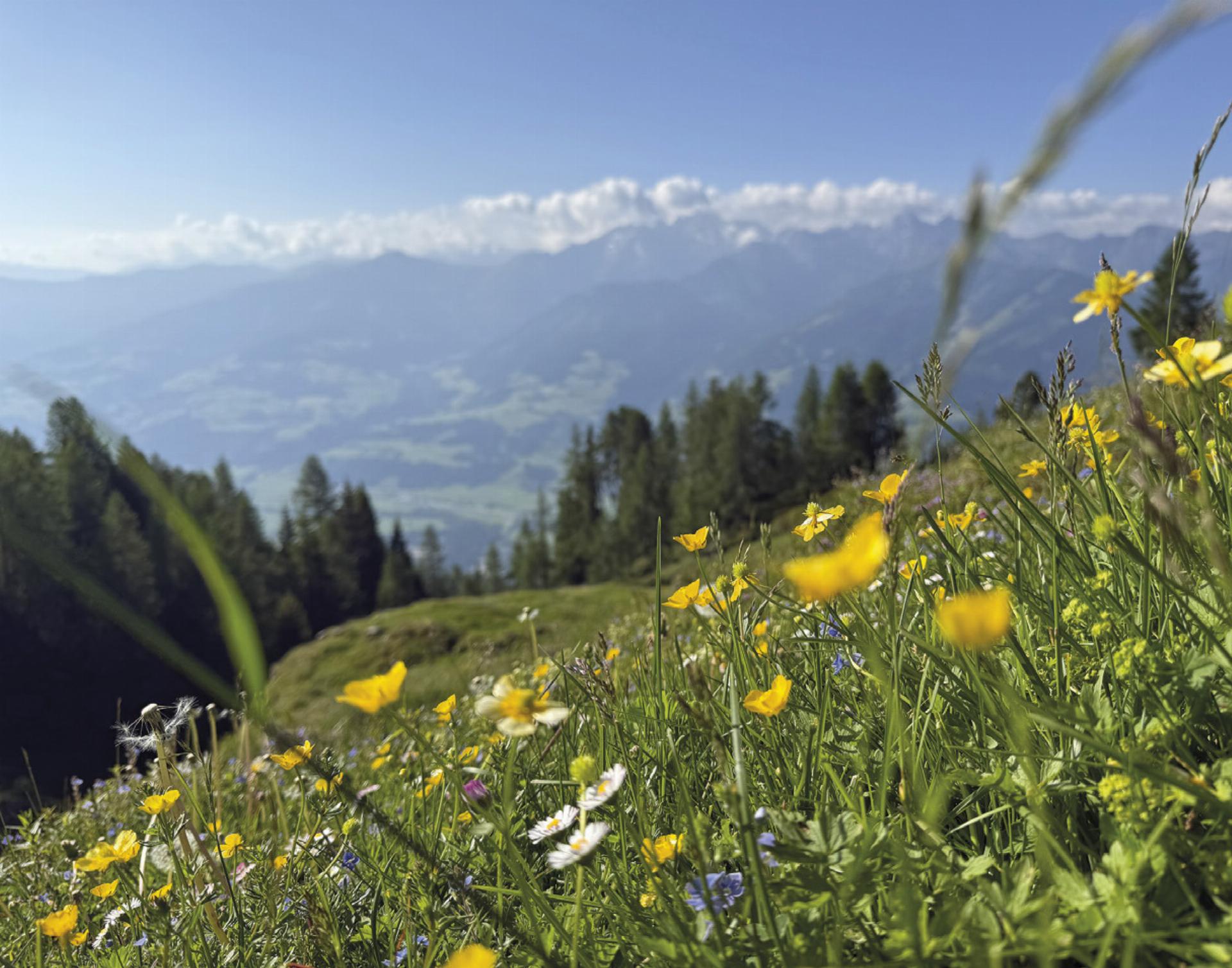 Auf Bergwiesen, Seen und Almen entstand ein Zeitdokument, das Natur und Jodler verbindet und für die Nachwelt festhält.
Foto: Hans Johann Danklmayer