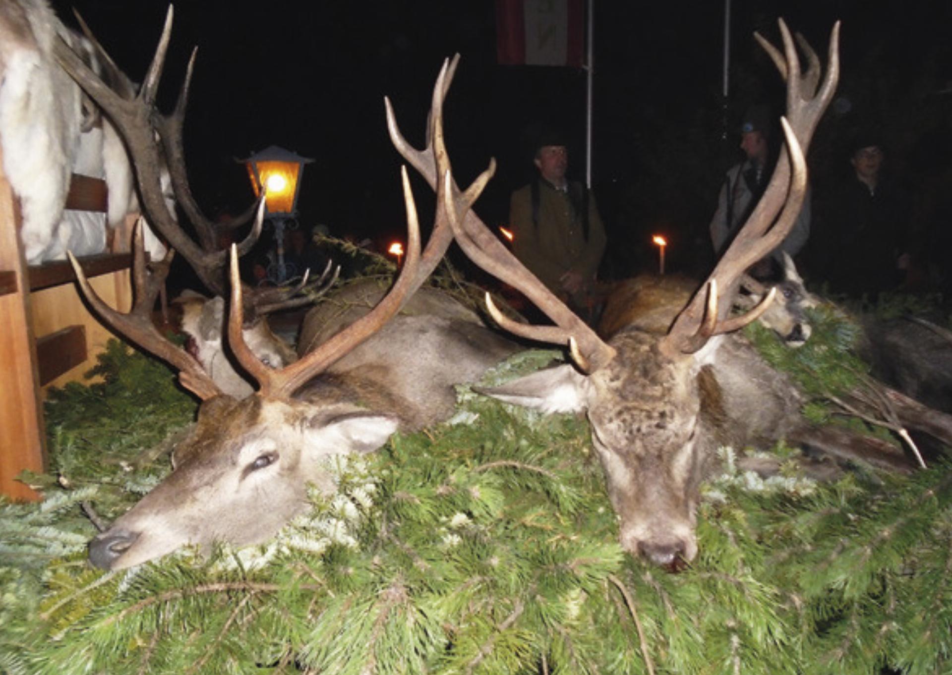 Der Jäger-Erntedank der Schladminger Jägerinnen und Jäger findet heuer in Ramsau am Dachstein statt. 
Foto: Pitzer