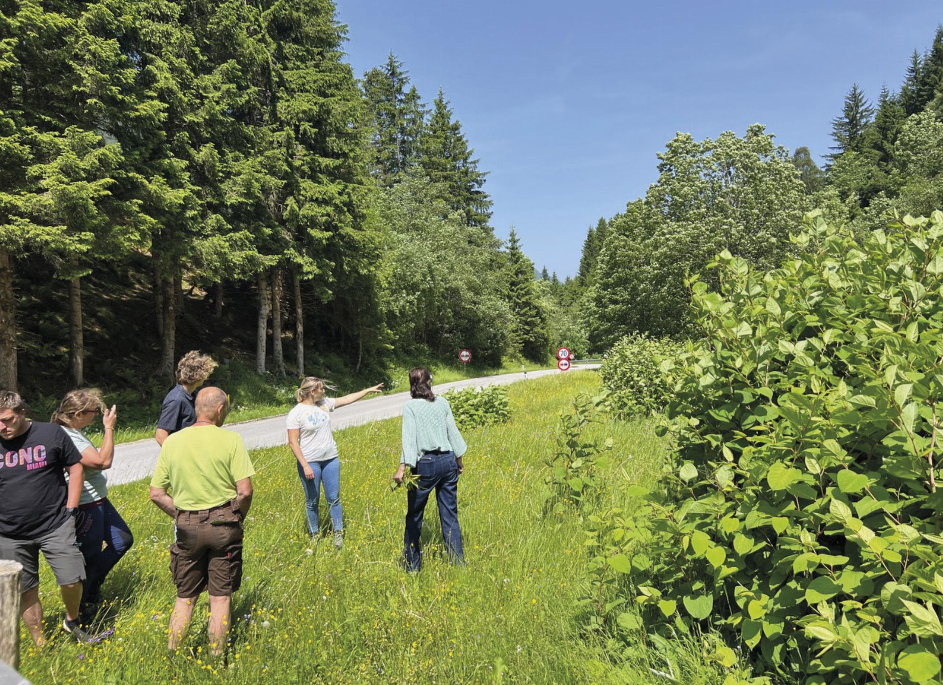 Neophyten-Gartentag in Öblarn