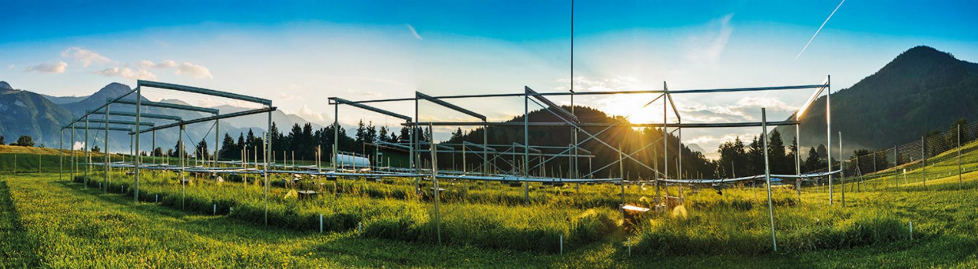ClimGrass heißt die Studie, die es ermöglichte, Auswirkungen eines wärmeren, CO₂-reichen Klimas auf das Grünland zu untersuchen. Foto: HBLFA