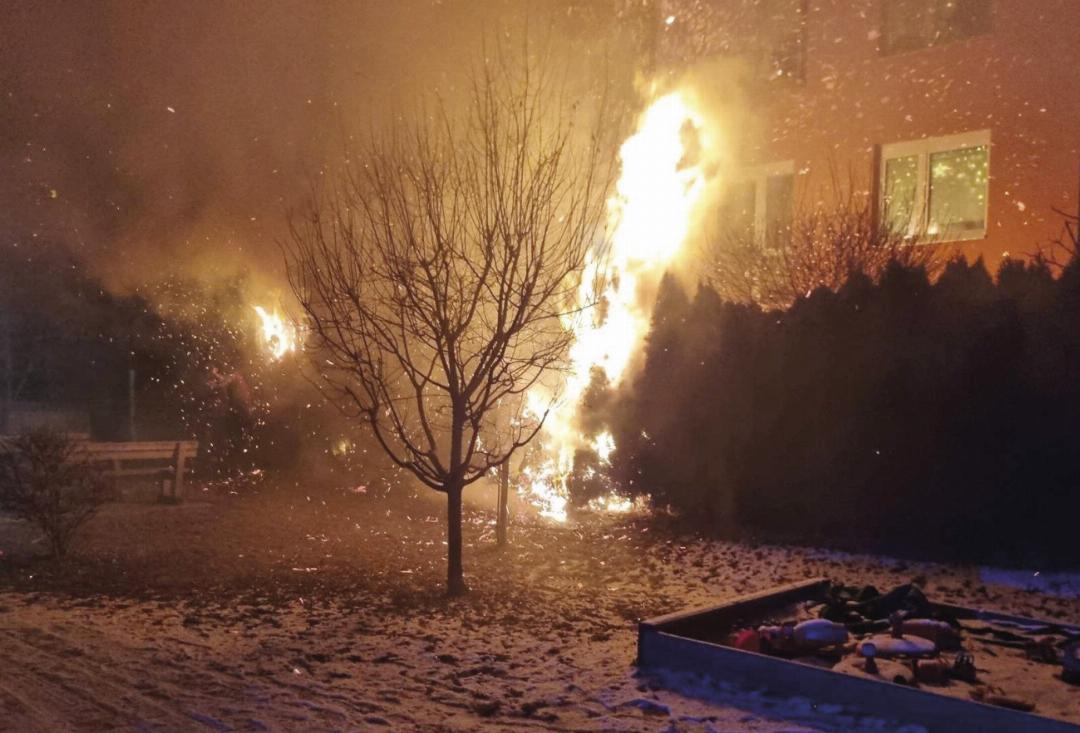 Heckenbrand in Schladming. Foto: FF Schladming Heckenbrand in Schladming. Foto: FF Schladming