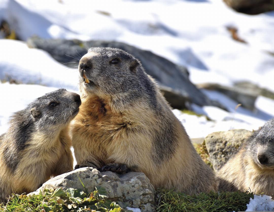 Fotos: © Pixabay Fotos: © Pixabay