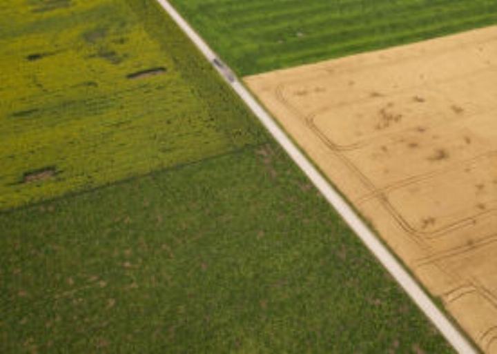 Foto: Land schafft Leben