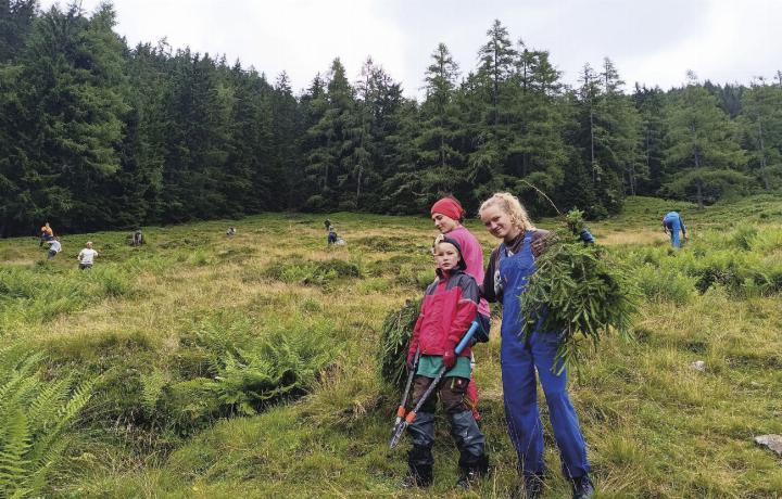 Natur erleben, Natur erhalten: Schwenden auf der Gumpenalm. Foto: AV