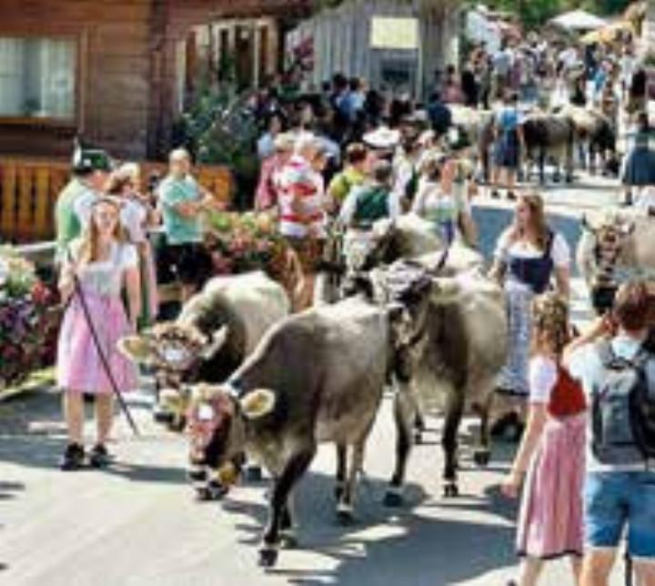 Der Almabtrieb markiert das Ende des Almsommers. Mit Musik und regionalen Schmankerln feiern die Besucher des Schutzengel Kirchtages das Heimkommen der Tiere. Bildhinweis: Kurt Röder