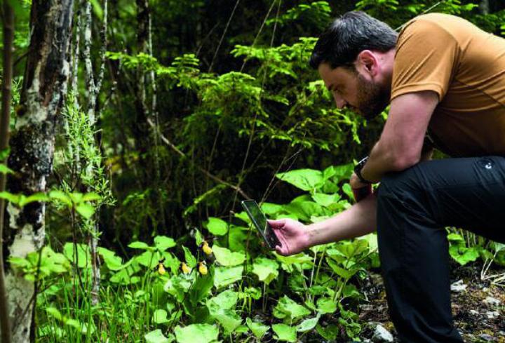Botanische oder zoologische Sensation finden und Geschichte schreiben: Einfach Fotos machen und von einer App die Art bestimmen lassen.
Bildnachweis: © Stefan Leitner