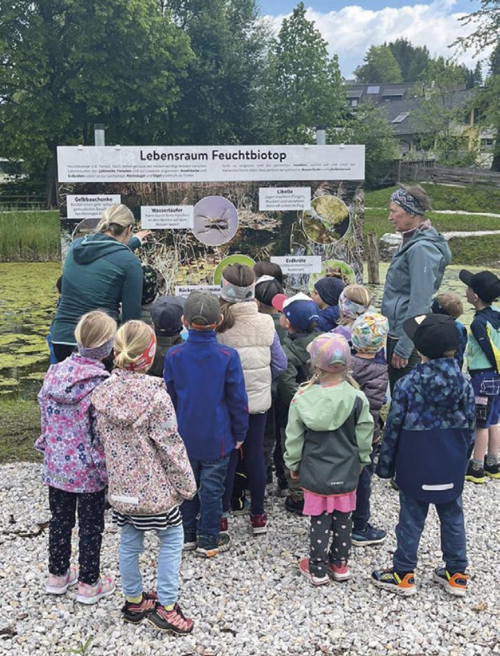 Beim neuen Feuchtbiotop in Stein an der Enns kann man die Natur kennenlernen. Foto: Elisa/Naturpark Sölktäler