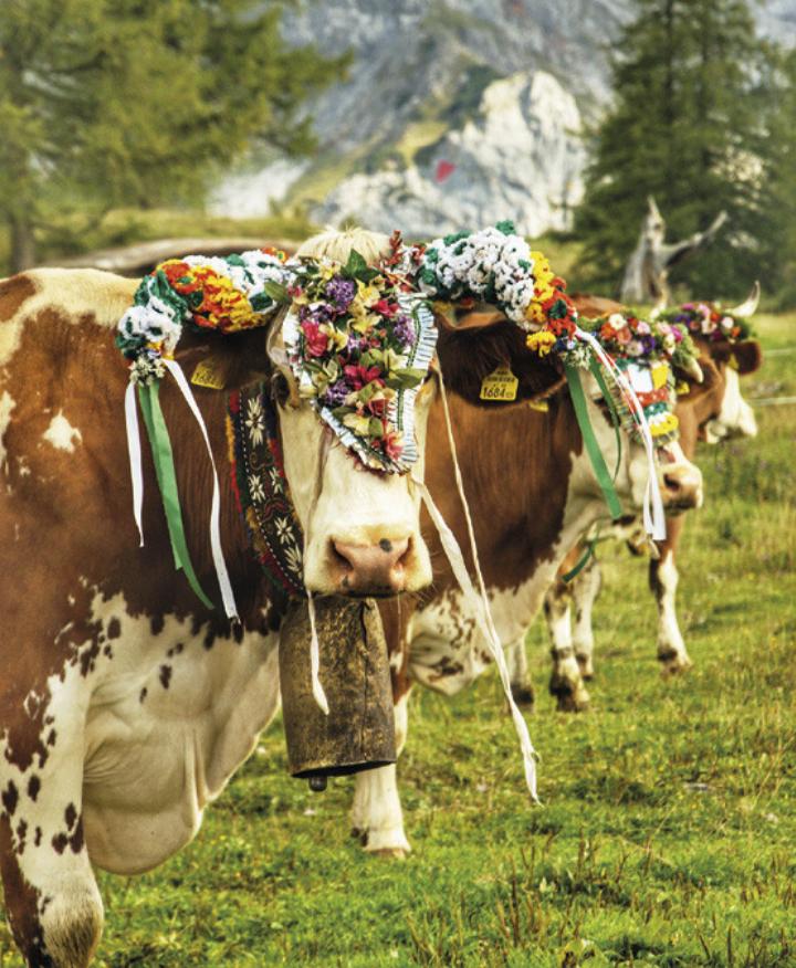 Foto: Marlene Eggmayr
