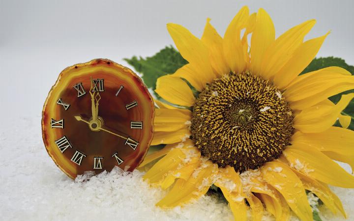 Bei der Umstellung der Uhr auf die Sommerzeit wird der Zeiger eine Stunde nach vorne gerückt – wir verlieren eine Stunde Schlaf.