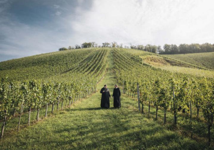 Im slowenischen Jarenina wird der Wein von Dveri Pax angebaut, der er-
neut ausgezeichnet wurde. 
Foto: Stefan Leitner