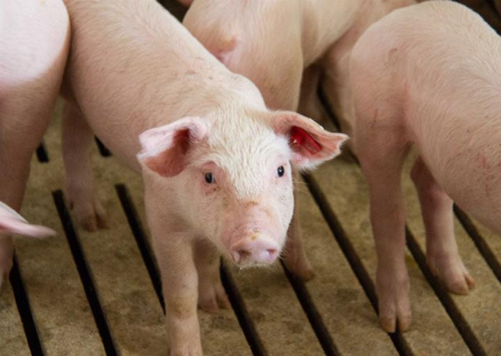 Foto: Land schafft Leben