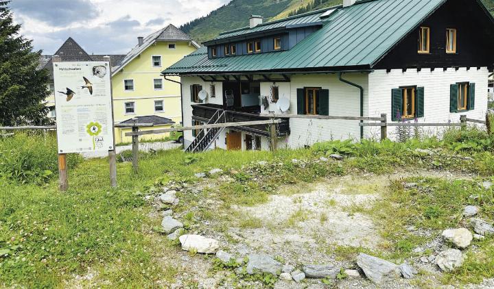 Nachmachen erwünscht: Eine angelegte Lehmlacke auf der Planneralm hilft Schwalben, geeignetes Nistmaterial zu finden.