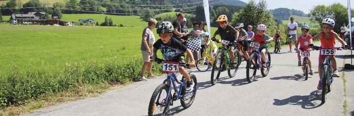 Foto: Hans Schröcker