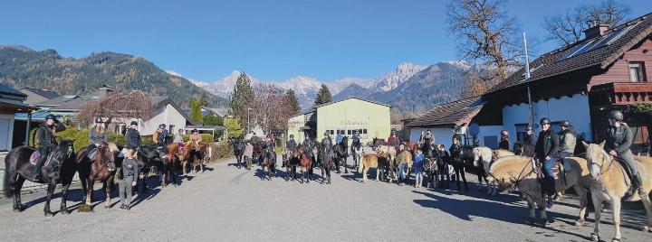 Foto: Pferdefreunde Gesäuse