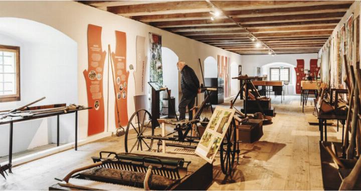 Foto: Forstmuseum Silvanum