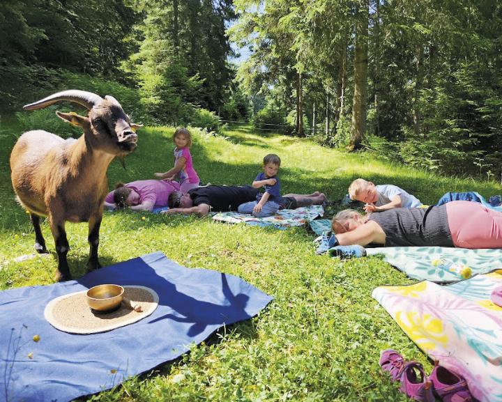 Entspannte Eltern, fröhliche Kinder: Die vierbeinigen Co-Trainer machten das Tier-Yoga zu einem unvergesslichen Erlebnis.

Foto: Sandra Glaser