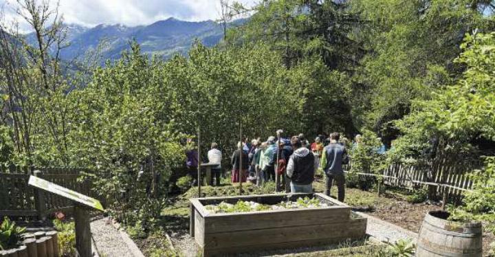 Bei den Führungen mit Martha Zach durch den Jesuitengarten gab es einiges zu entdecken. Foto: Naturpark Sölktäler