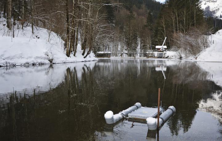 Gut geschützt in einer schwimmenden Box reifen die Fischeier zu kräftigen Jungfischen heran. Schon im März können sie in den Johnsbach und die Enns entlassen werden.