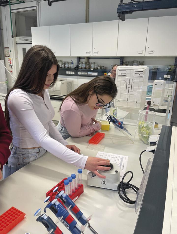 Schülerinnen und Schüler konnten exklusive Workshops absolvieren und universitäre Forschung aus nächster Nähe kennenlernen.

Foto: Christian Quehenberger