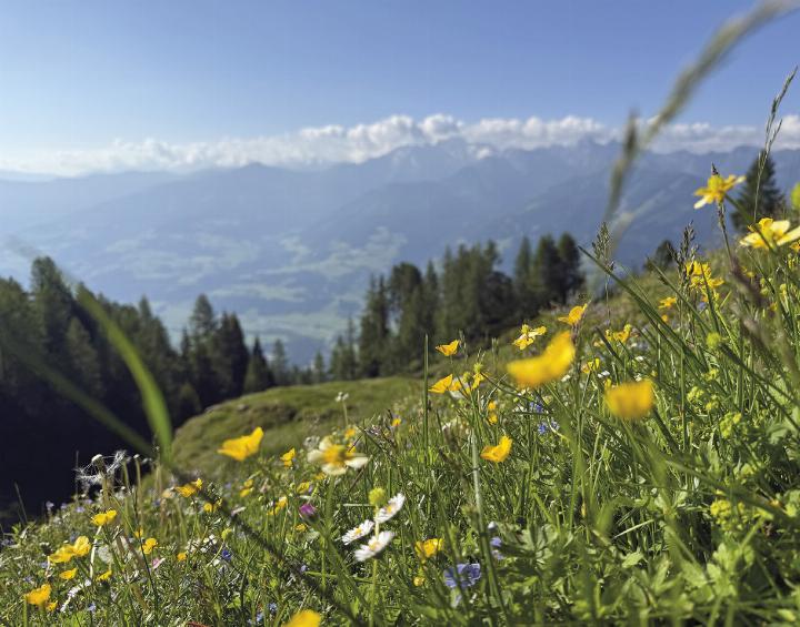 Auf Bergwiesen, Seen und Almen entstand ein Zeitdokument, das Natur und Jodler verbindet und für die Nachwelt festhält.
Foto: Hans Johann Danklmayer