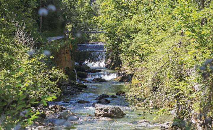 Gezerre um die Talbachklamm: Naherholung oder Energiegewinnung? Parallel zum Naturschutzverfahren läuft ein
Widerstreitverfahren. Es gilt die Fragen zu klären ob die Klamm schutzwürdig ist, welcher Energieversorger sein Projekt vorantreiben darf und ob das Projekt in weiterer Folge  mit dem Ergebnis des Naturschutzverfahrens vereinbar ist.
Foto: Ennstaler