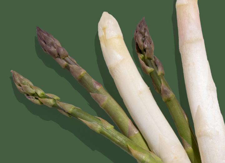 Foto: Land schafft Leben