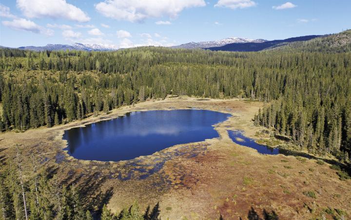 Wertvoller Feuchtlebensraum: Das Moor Miesbodensee. Foto: ÖBf
