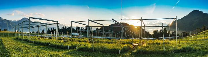 ClimGrass heißt die Studie, die es ermöglichte, Auswirkungen eines wärmeren, CO₂-reichen Klimas auf das Grünland zu untersuchen. Foto: HBLFA