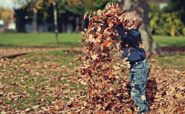Im Kindergarten ist der Herbst eine sehr herausfordernde Zeit, geprägt von Neuanfängen und vielen Krankheiten. Foto: pexels