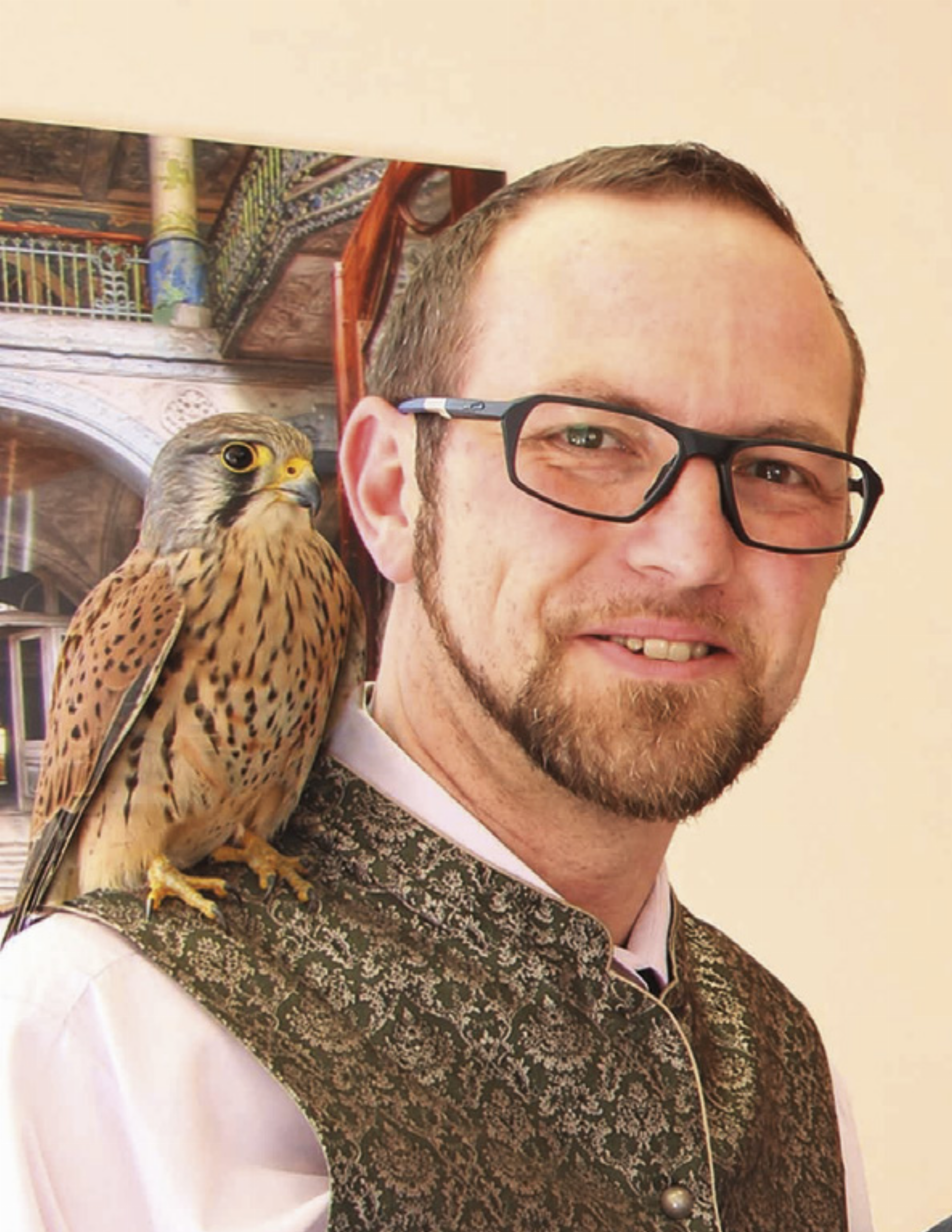 Falkenprojekt-Initiator Vizebürgermeister Klaus Baumschlager mit einem seiner Schützlinge. - Das Bild wird blockiert. – Möglicherweise durch einen aktiven Adblocker.