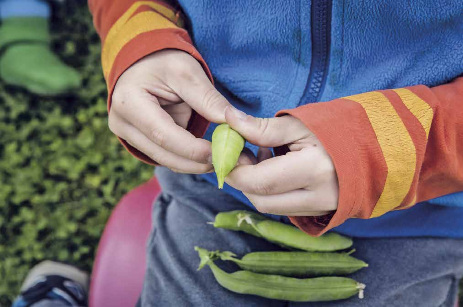 Kinder Obst und Gemüse im Hochbeet pflanzen zu lassen, steigert ihr Bewusstsein darüber, wie unsere Lebensmittel entstehen und wachsen. - Das Bild wird blockiert. – Möglicherweise durch einen aktiven Adblocker.