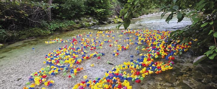 Entenrennen-in-Palfau