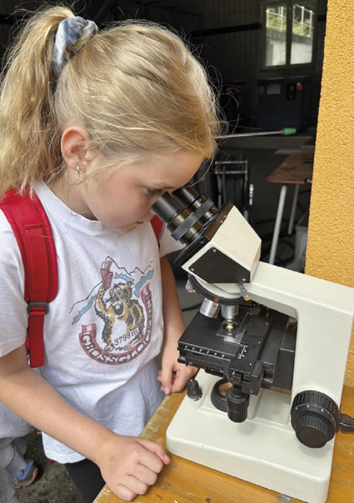 Sommerspektakel-an-der-Volksschule-Landl