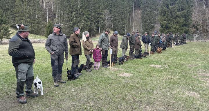 Ausbildung-f-r-Jagdhunde