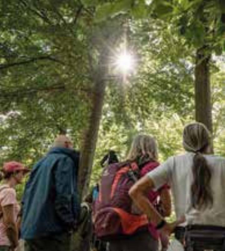Den-Wald-der-Zukunft-entdecken