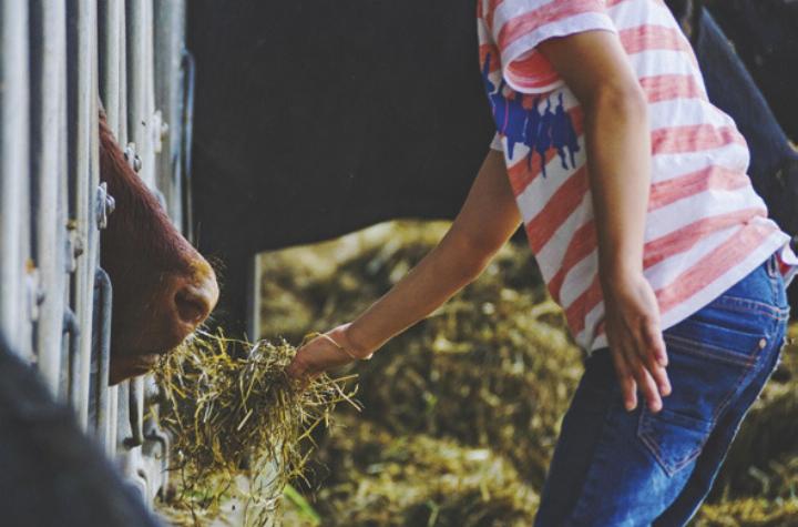 Green-Care-Eine-Verbindung-von-Landwirtschaft-und-gesellschaftlicher-Innovation