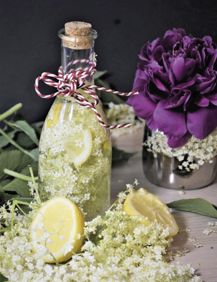 Holunder-Naturpower-aus-der-Hecke